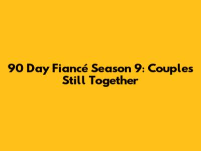90 Day Fiancé Season 9: Couples Still Together