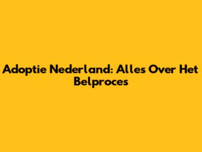 Adoptie Nederland: Alles Over Het Belproces