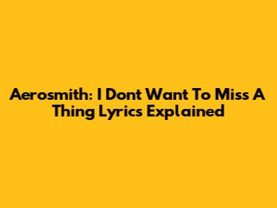 Aerosmith: "I Don't Want To Miss A Thing" Lyrics Explained