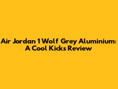 Air Jordan 1 Wolf Grey Aluminium: A Cool Kicks Review