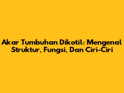 Akar Tumbuhan Dikotil: Mengenal Struktur, Fungsi, Dan Ciri-Ciri