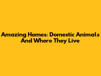 Amazing Homes: Domestic Animals And Where They Live