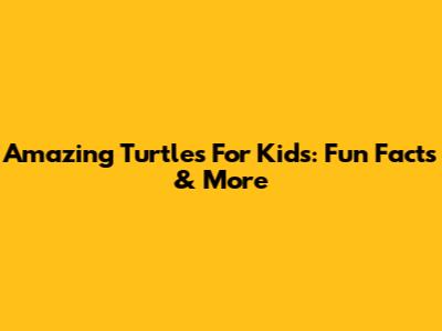 Amazing Turtles For Kids: Fun Facts & More