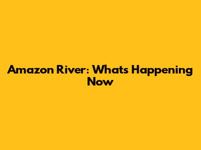 Amazon River: What's Happening Now