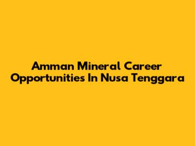 Amman Mineral Career Opportunities In Nusa Tenggara