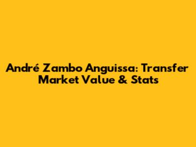 André Zambo Anguissa: Transfer Market Value & Stats