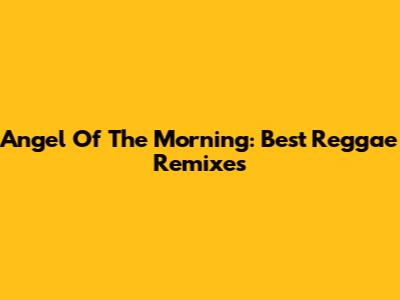 Angel Of The Morning: Best Reggae Remixes