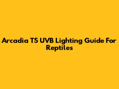 Arcadia T5 UVB Lighting Guide For Reptiles