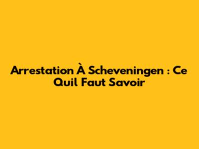 Arrestation À Scheveningen : Ce Qu'il Faut Savoir