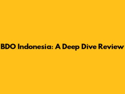 BDO Indonesia: A Deep Dive Review