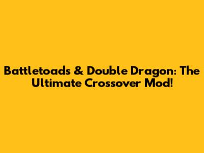 Battletoads & Double Dragon: The Ultimate Crossover Mod!