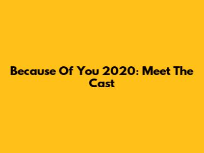Because Of You 2020: Meet The Cast
