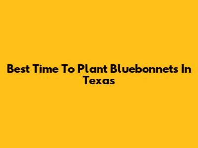 Best Time To Plant Bluebonnets In Texas