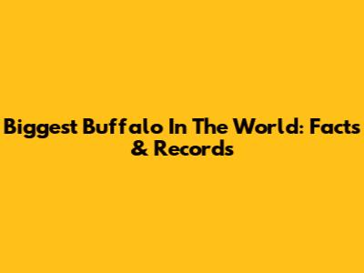 Biggest Buffalo In The World: Facts & Records