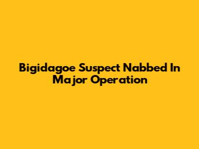 Bigidagoe Suspect Nabbed In Major Operation
