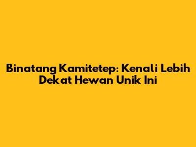 Binatang Kamitetep: Kenali Lebih Dekat Hewan Unik Ini