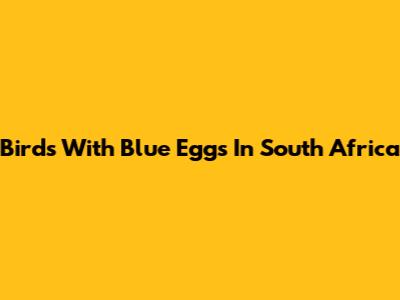 Birds With Blue Eggs In South Africa