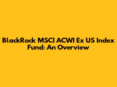 BlackRock MSCI ACWI Ex US Index Fund: An Overview