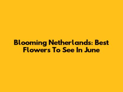 Blooming Netherlands: Best Flowers To See In June