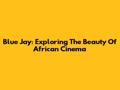 Blue Jay: Exploring The Beauty Of African Cinema