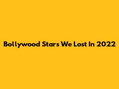 Bollywood Stars We Lost In 2022