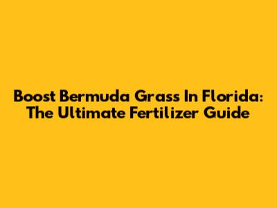 Boost Bermuda Grass In Florida: The Ultimate Fertilizer Guide