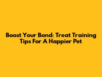 Boost Your Bond: Treat Training Tips For A Happier Pet
