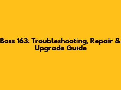 Boss 163: Troubleshooting, Repair & Upgrade Guide