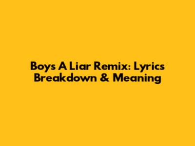 Boys A Liar Remix: Lyrics Breakdown & Meaning