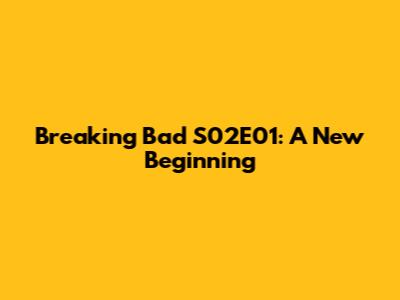 Breaking Bad S02E01: A New Beginning