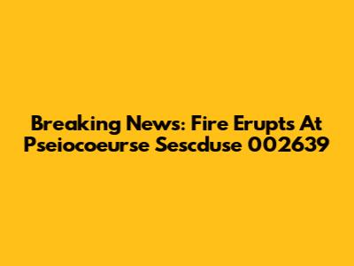 Breaking News: Fire Erupts At Pseiocoeurse Sescduse 002639