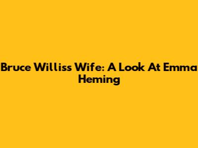 Bruce Willis's Wife: A Look At Emma Heming