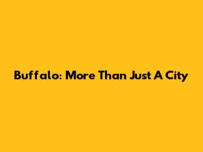 Buffalo: More Than Just A City