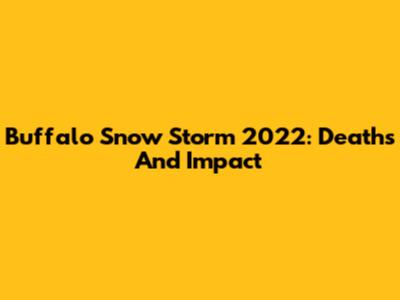Buffalo Snow Storm 2022: Deaths And Impact