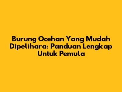 Burung Ocehan Yang Mudah Dipelihara: Panduan Lengkap Untuk Pemula
