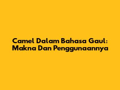 Camel Dalam Bahasa Gaul: Makna Dan Penggunaannya