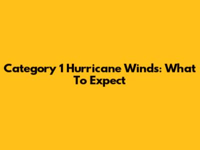 Category 1 Hurricane Winds: What To Expect