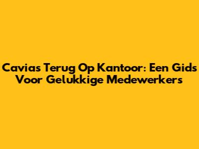 Cavia's Terug Op Kantoor: Een Gids Voor Gelukkige Medewerkers