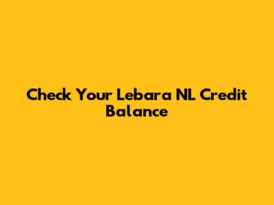 Check Your Lebara NL Credit Balance