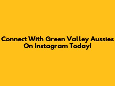 Connect With Green Valley Aussies On Instagram Today!