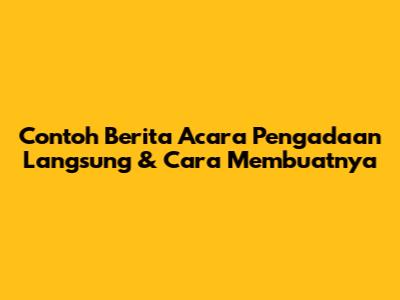 Contoh Berita Acara Pengadaan Langsung & Cara Membuatnya