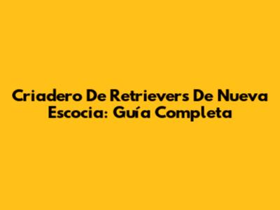 Criadero De Retrievers De Nueva Escocia: Guía Completa