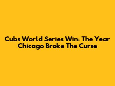 Cubs' World Series Win: The Year Chicago Broke The Curse