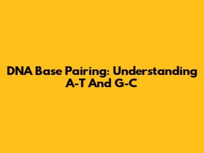 DNA Base Pairing: Understanding A-T And G-C