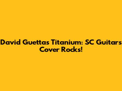David Guetta's Titanium: SC Guitars Cover Rocks!