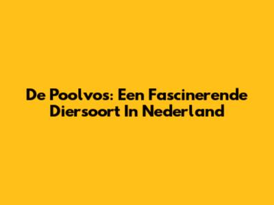 De Poolvos: Een Fascinerende Diersoort In Nederland