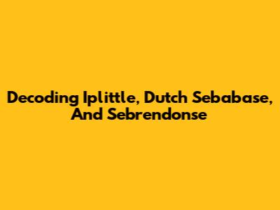 Decoding Iplittle, Dutch Sebabase, And Sebrendonse