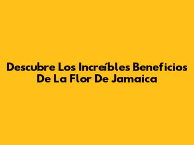 Descubre Los Increíbles Beneficios De La Flor De Jamaica