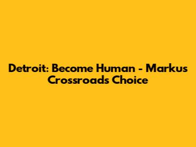 Detroit: Become Human - Markus Crossroads Choice