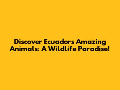 Discover Ecuador's Amazing Animals: A Wildlife Paradise!